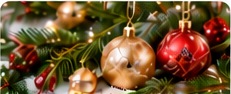 A Christmas Celebration